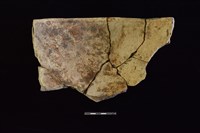 陶盆藏品圖，第2張